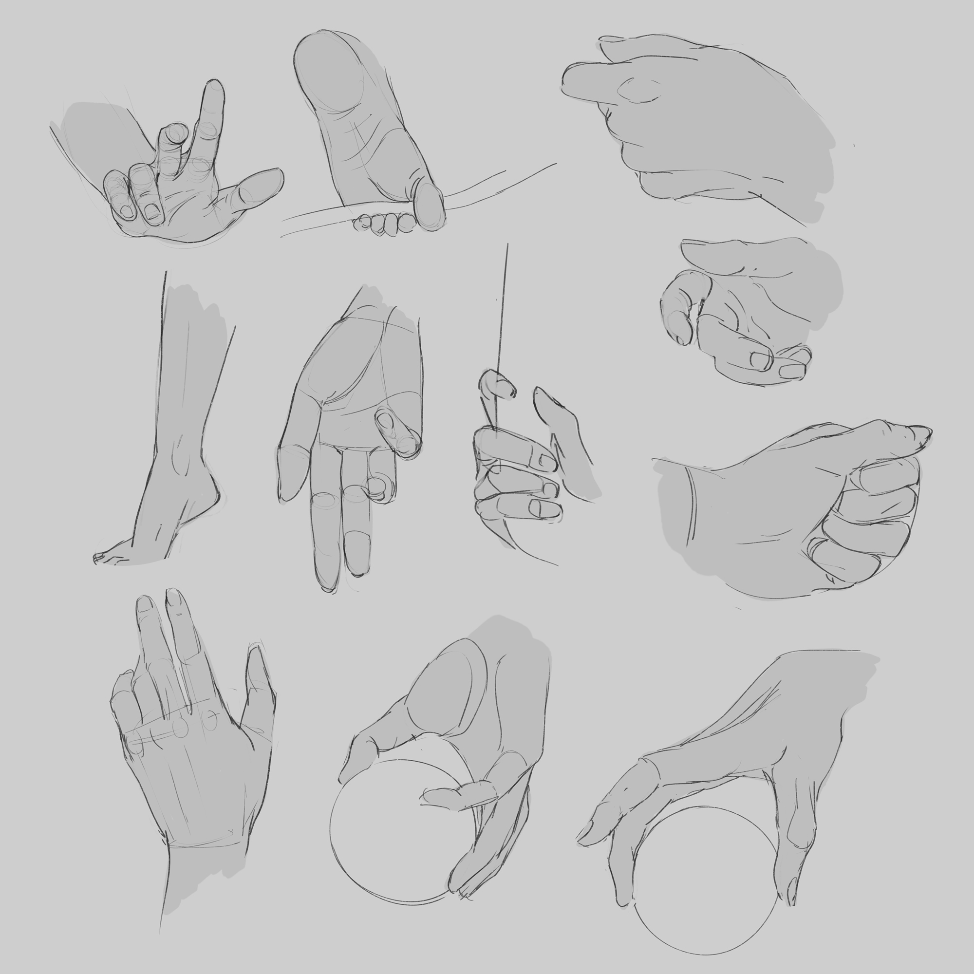 Anatomy and construction studies - Bram Sels