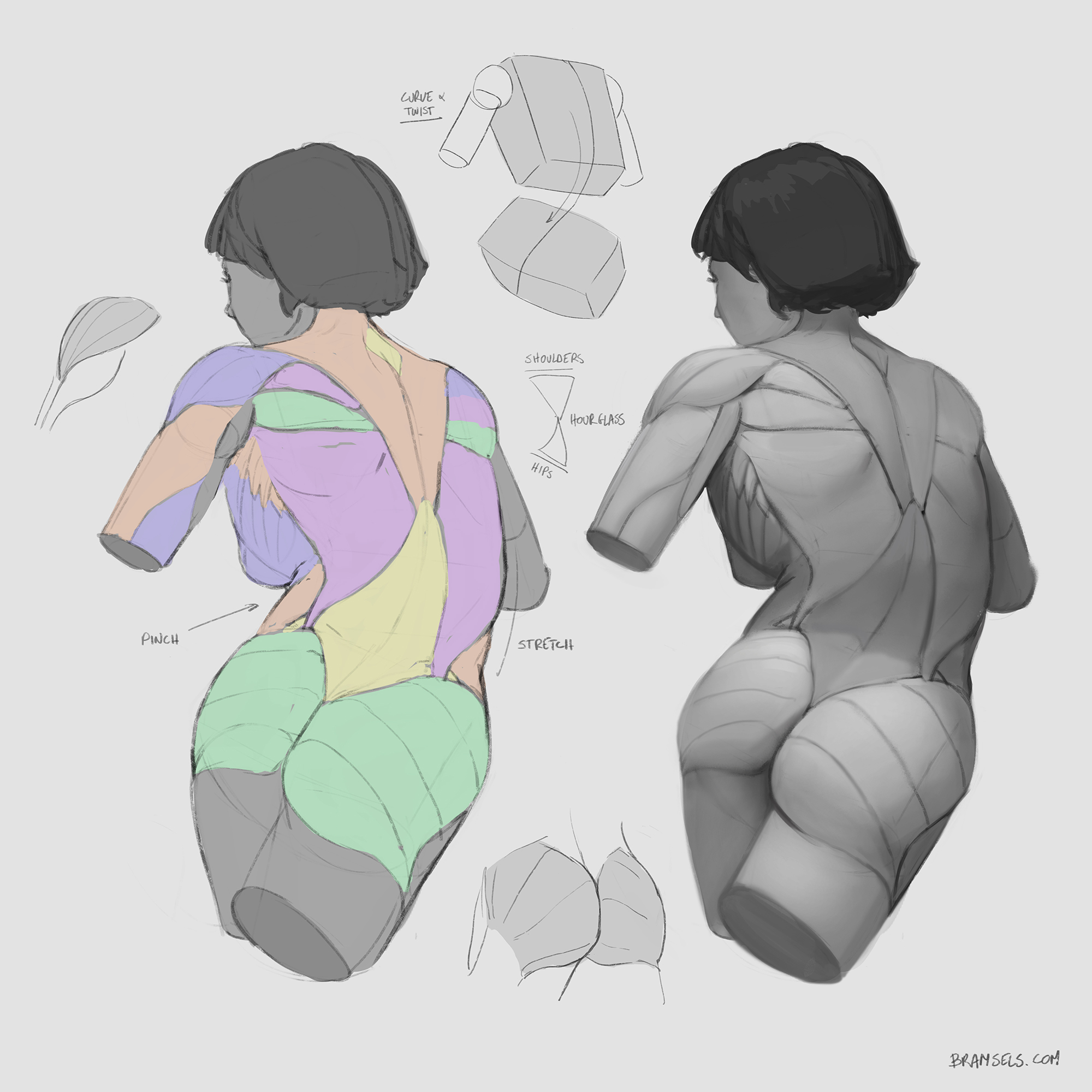 Anatomy and construction studies - Bram Sels